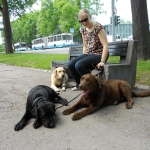 Janet, Jessi ja Tõnnu Kaarli puiesteel lamamas, pingil istub koerajalutaja Evelin