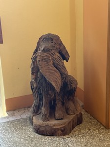 IMG_1484